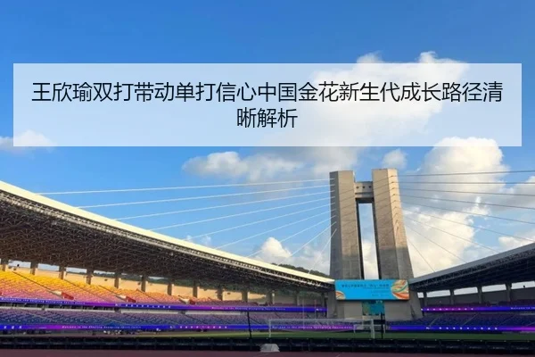 wang-xin-yu-shuang-da-dai-dong-dan-da-xin-xin-zhong-guo-jin-hua-xin-sheng-dai-cheng-zhang-lu-jing-qing-xi-jie-xi-2-570.jpg